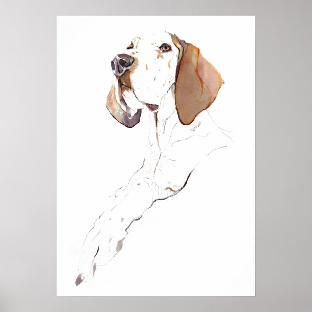 Englischer Pointer Wandkunst Poster, Hunde Kunst D Poster (Vorne)