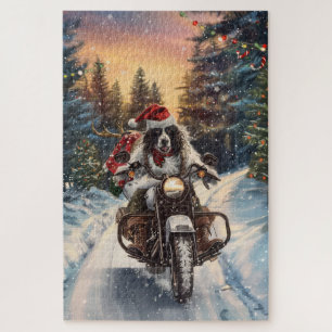 Englischer Setter Hund fährt Motorrad Weihnachten