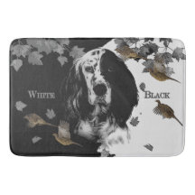 Englischer Setter in Schwarzweiß