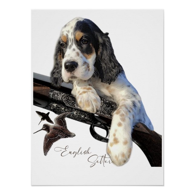 Englischer Setter, niedlicher Welpe Poster (Vorderseite)