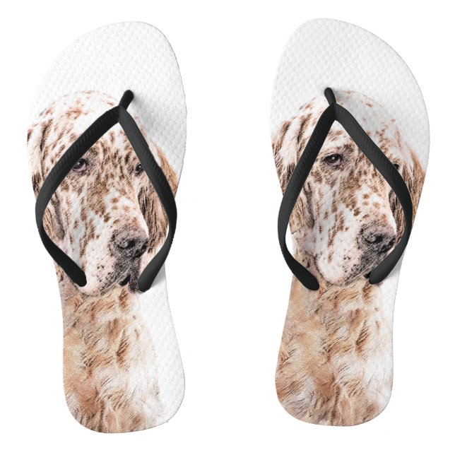 Englischer Setter Orange Belton Malerei Dog Art Flip Flops (Fußbett)