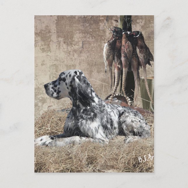 Englischer Setter, Pheasant Jägertester Poster Postkarte (Vorderseite)