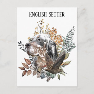 Englischer Setter , Waldschnepfenjagd , Kunst Postkarte