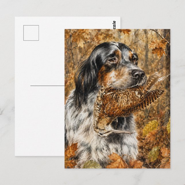 Englischer Setter, Waldschnepfenjagd  Postkarte (Vorne/Hinten)