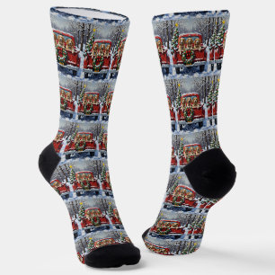 Englischer Setter Weihnachten Rotes Lastwagen Urla Socken