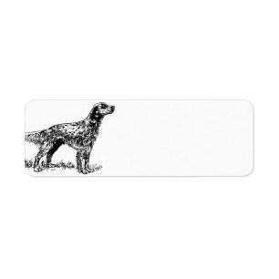 englischer Setzer drawing.png