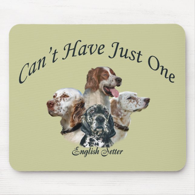 Englischer Setzer kann gerade ein Mousepads nicht (Vorne)