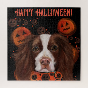 Englischer Springer Spaniel