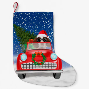 Englischer Springer Spaniel Dog Car im Schnee Weih Kleiner Weihnachtsstrumpf