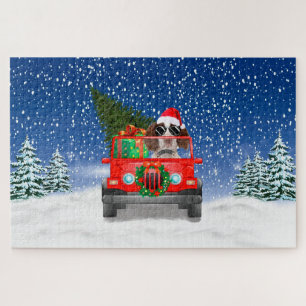 Englischer Springer Spaniel Hund mit Weihnachtsges
