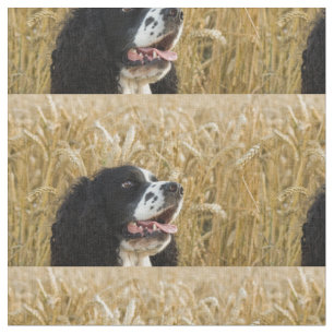 englischer Springer Spaniel in wheat.png Stoff