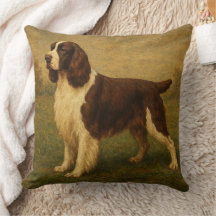 Englischer Springer Spaniel