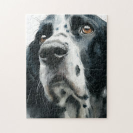 Englischer Springer Spaniel Portrait mit Ticking