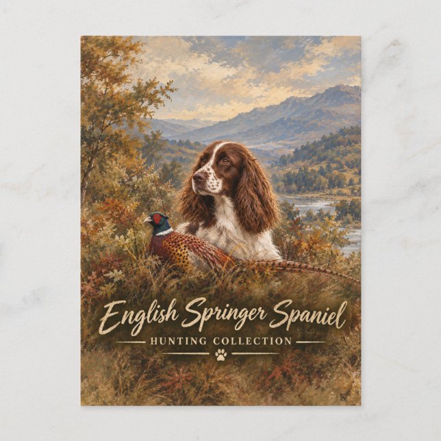 Englischer Springer Spaniel  Postkarte (Vorderseite)