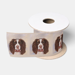 ENGLISCHER SPRINGER SPANIEL SATINBAND