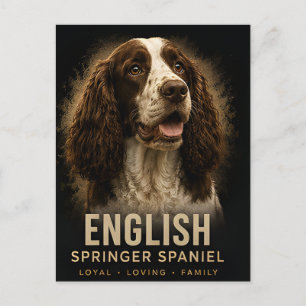 Englischer Springer Spaniel Treuer Liebenswerter F Postkarte
