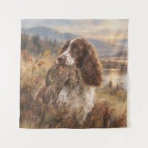 Englischer Springer Spaniel 