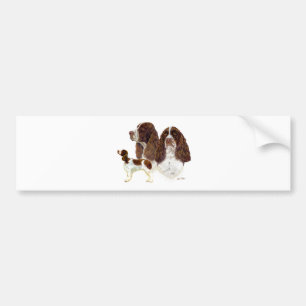 Englischer SpringerSpaniel Autoaufkleber
