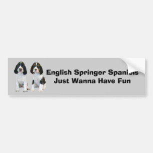 Englischer Springerspaniel-Autoaufkleber Autoaufkleber