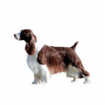 Englischer SpringerSpaniel Fotoskulptur Ornament<br><div class="desc">Englischer SpringerSpaniel</div>