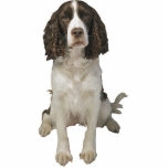 Englischer SpringerSpaniel Freistehende Fotoskulptur<br><div class="desc">Diese Fotoskulptur ist von einem schönen englischer SpringerSpaniel. Sie können diesen Entwurf besonders anfertigen und ihn in einer Vielzahl von Größen bestellen. Dieser englischer SpringerSpanielentwurf ist auch verfügbar als geformte,  Ausschnittmagneten,  Verzierungen,  Buttone und sogar Schlüsselanhänger.</div>