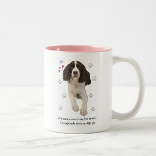 Englischer Springerspaniel-Hund Zweifarbige Tasse