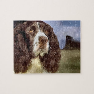 Englischer Springerspaniel-Kunst
