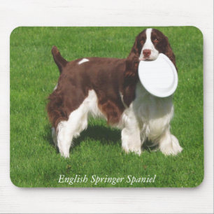 Englischer SpringerSpaniel Mousepad