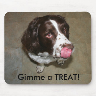 Englischer SpringerSpaniel, Otis will eine Mousepad