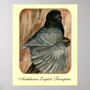 Englischer Trumpeter: 1980 Andalusier Poster
