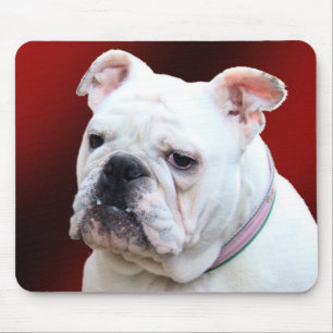 Englisches Bulldogge 2 mousepad
