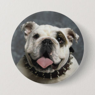 Englisches Bulldoggen-Porträt-Foto-runder Knopf Button