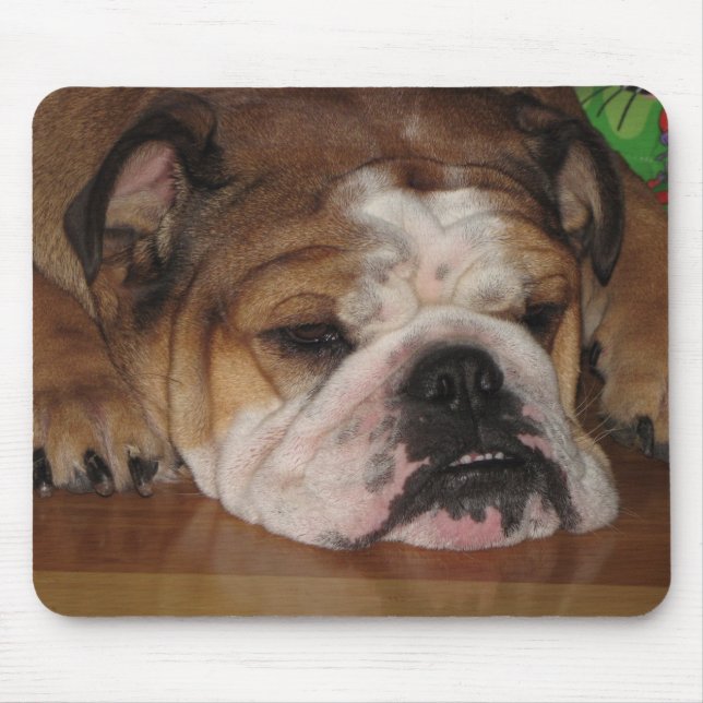 englisches bullie mousepad (Vorne)