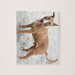 Englisches Bullterrier-Puzzlespiel