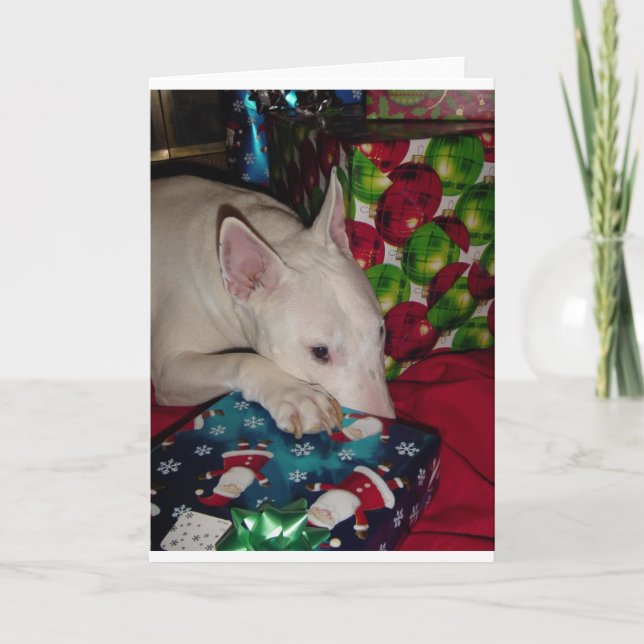 englisches BullterrierWeihnachtsgeschenk Feiertagskarte (Vorderseite)