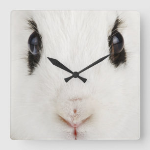 Englisches Kaninchen (Oryctolagus Cuniculus) Quadratische Wanduhr