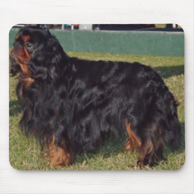 Englisches SpielzeugSpaniel Mousepad (Vorne)