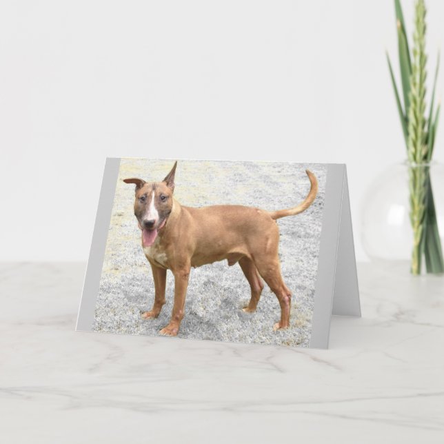 English Bull Terrier Grußkarte Karte (Vorderseite)