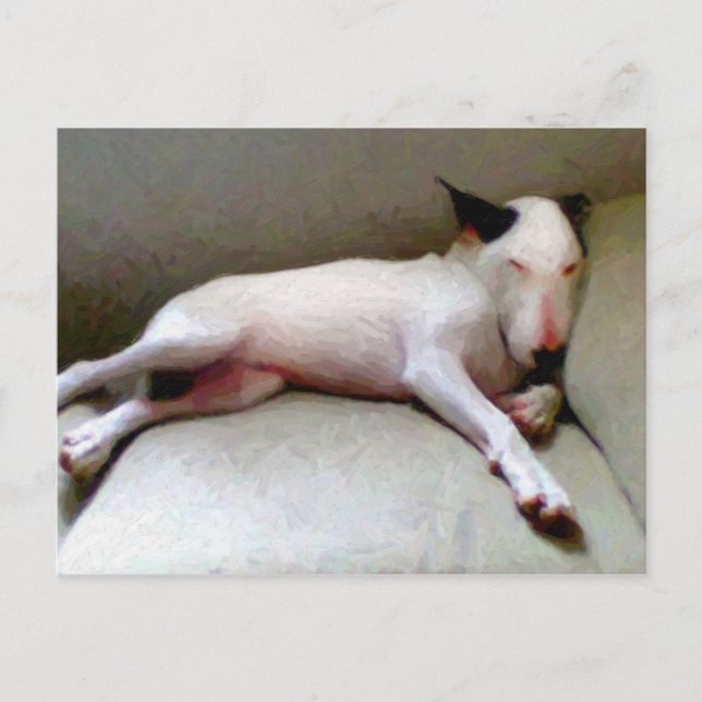 English Bull Terrier Postkarte (Vorderseite)