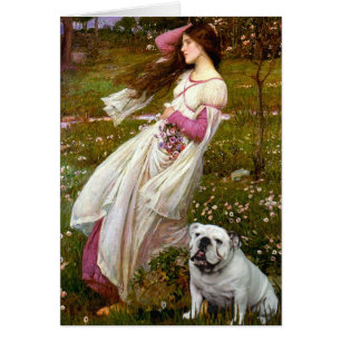 English Bulldog 9 - Windblumen