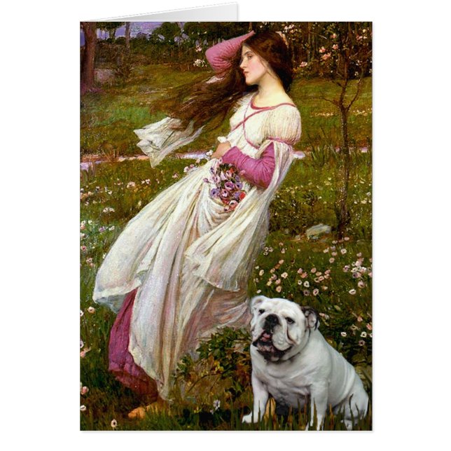 English Bulldog 9 - Windblumen (Vorne)