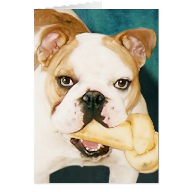 English Bulldog "Adagio" (Vorne)