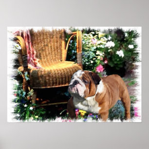 English Bulldog Art Prints Poster