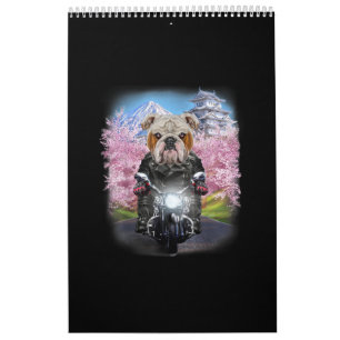 English Bulldog auf Motorrad Tour Japanisch Sakura Kalender