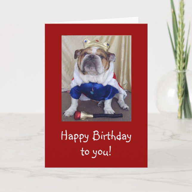 English Bulldog Birthday Card, Royalty Karte (Vorderseite)