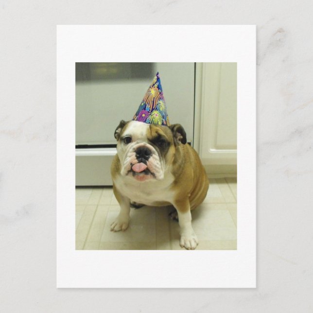 English Bulldog Birthday Postkarte (Vorderseite)