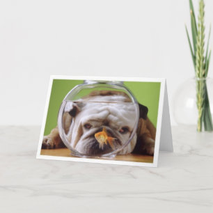 English Bulldog Card Karte