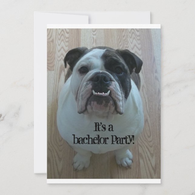 English Bulldog Cool Bachelor Party Einladungen (Vorderseite)