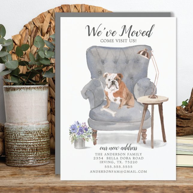 English Bulldog Dog | Ankündigung der Beförderung (Von Creator hochgeladen)