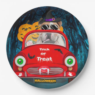 English Bulldog Driving Car Beängstigend Halloween Pappteller